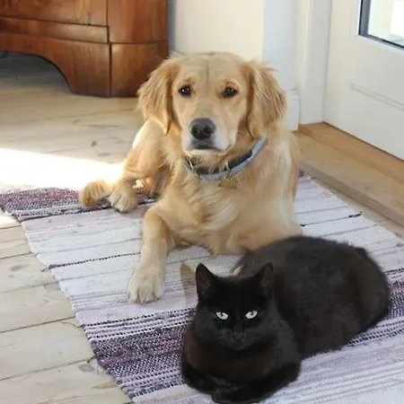 Apartamento Cozy Near And Forrest Tisvildeleje