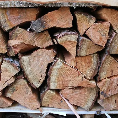 Cozy Near And Forrest * Tisvildeleje