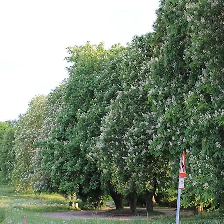 Cozy Near And Forrest * Tisvildeleje